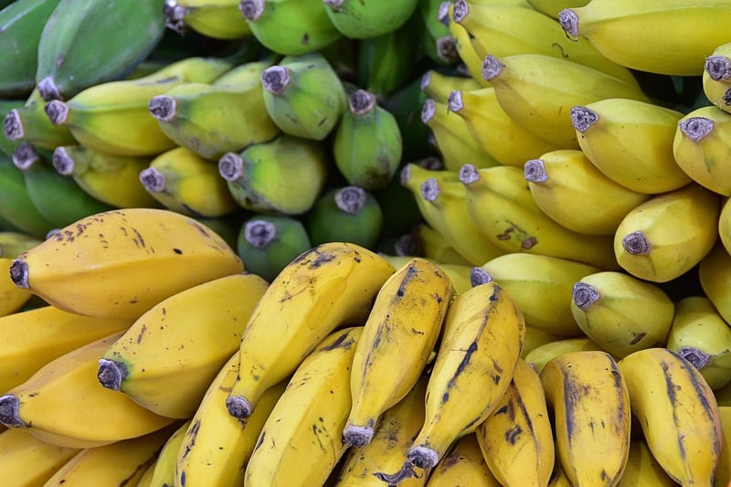 Fruit Display
